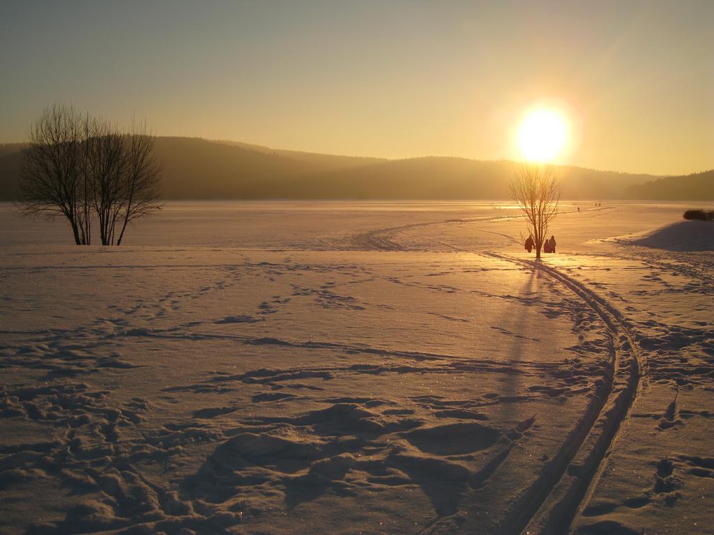 Lipno Family Cottage Lipno nad Vltavou Εξωτερικό φωτογραφία